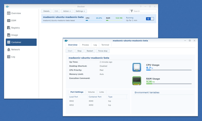 DSM Docker.png